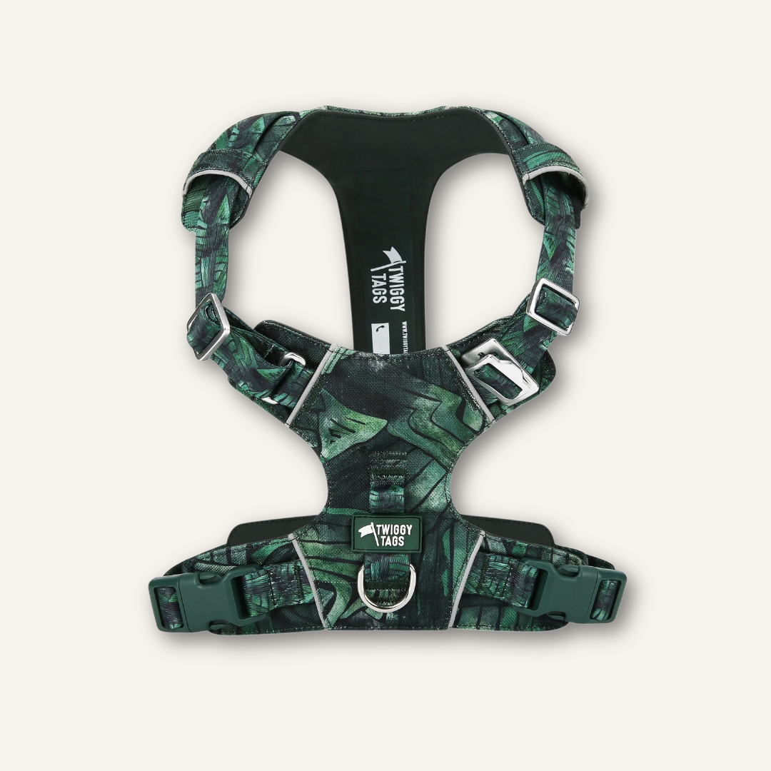 Adventure Harness Lite