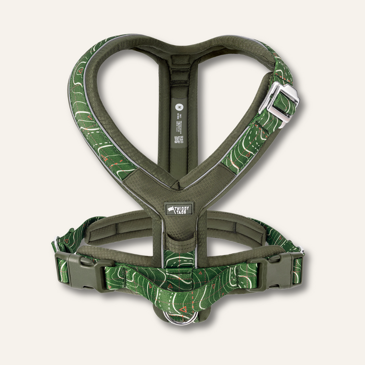 Apex® Harness - Nomad