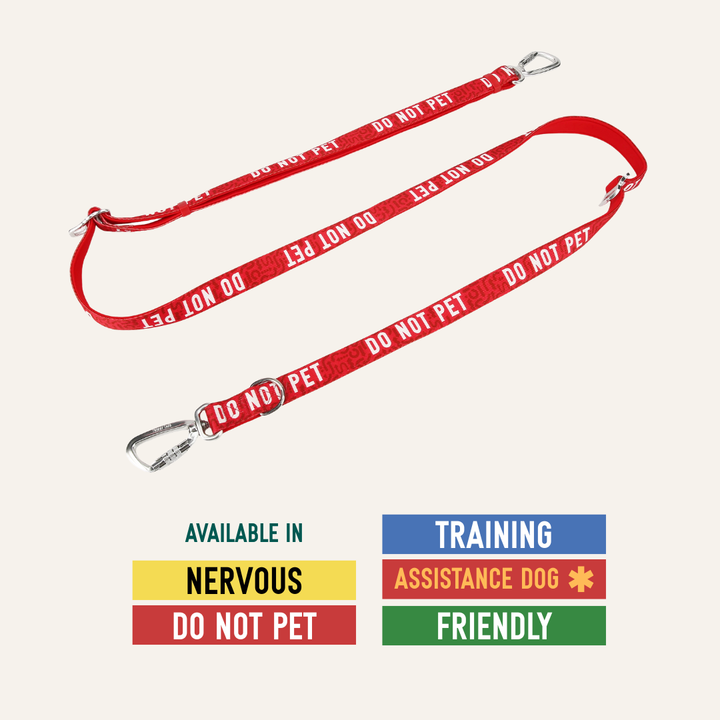 Awareness Multi-Way Lead