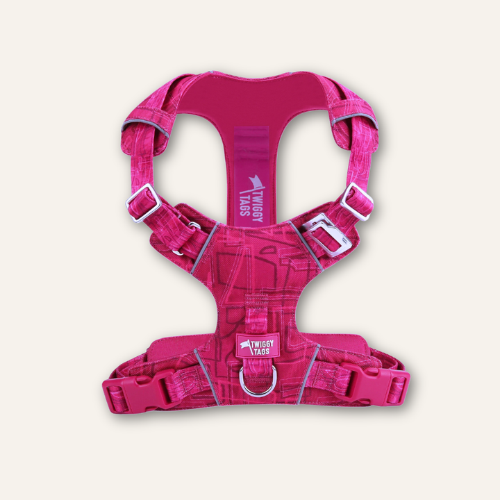Adventure Harness Lite