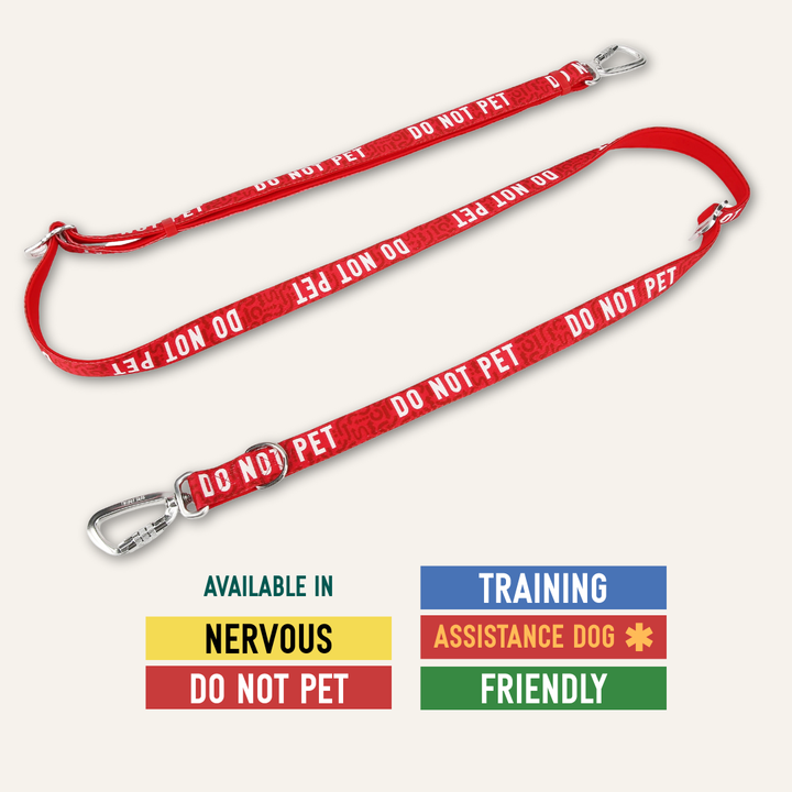 Awareness Multi-Way Lead