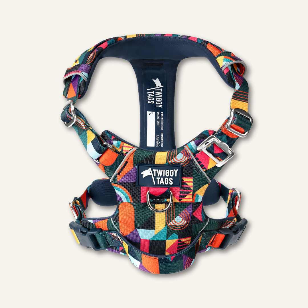 Adventure Harness 2.0 - Aurora