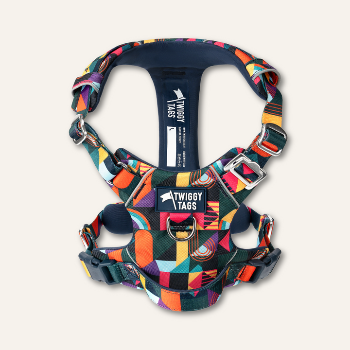 Adventure Harness 2.0 - Aurora