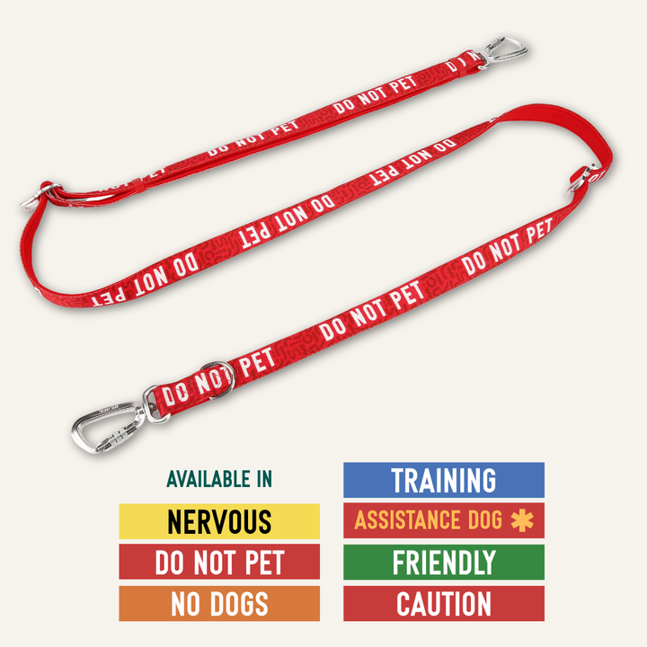 Awareness Multi-Way Lead