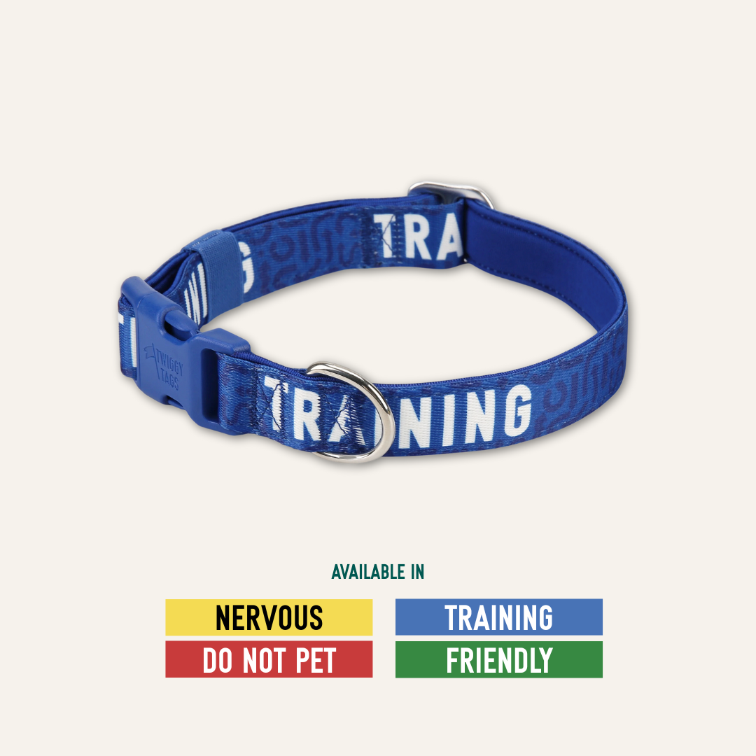Awareness Collar