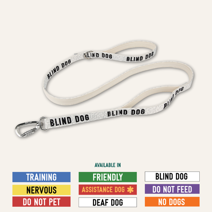 Awareness Close Control Lead