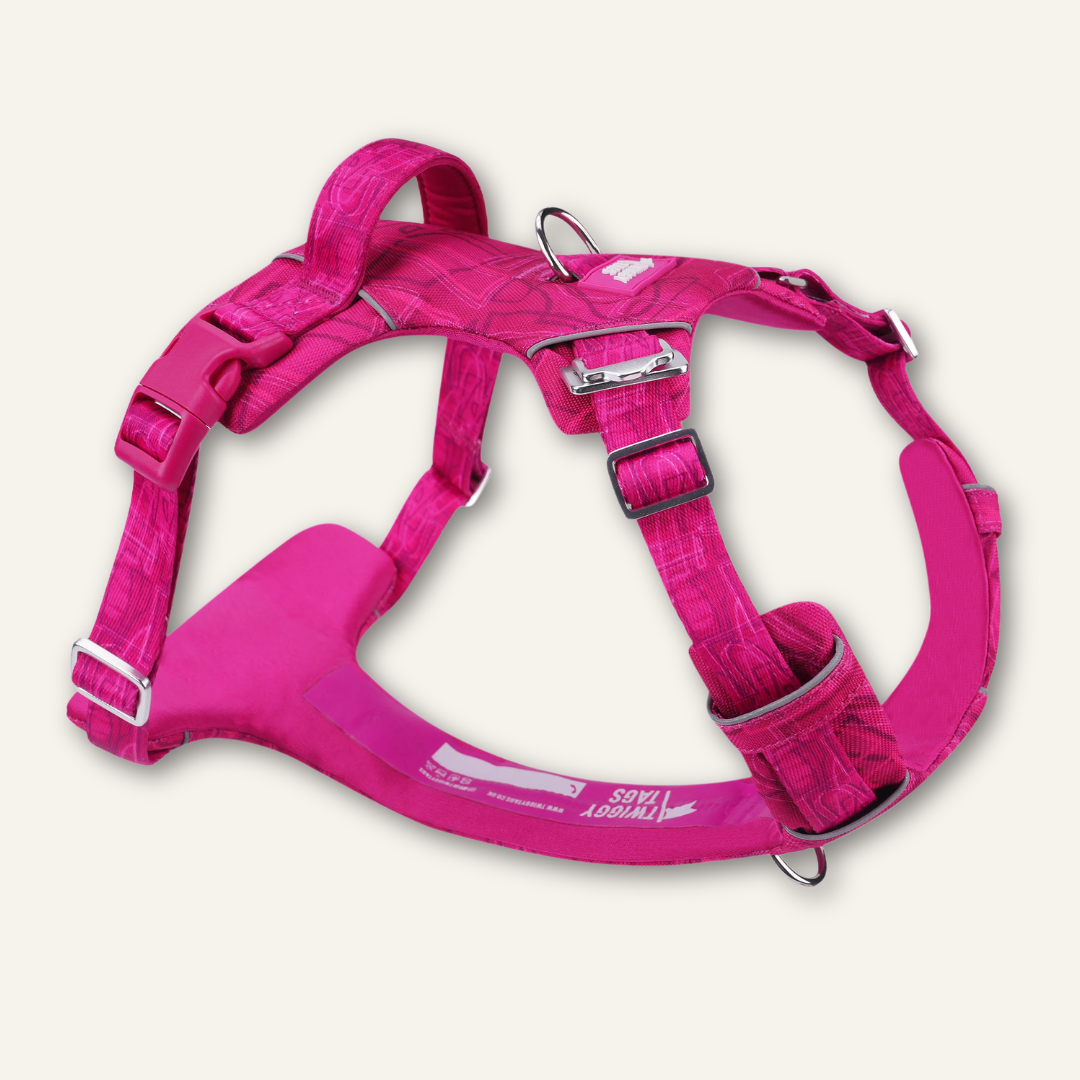 Adventure Harness 2.0