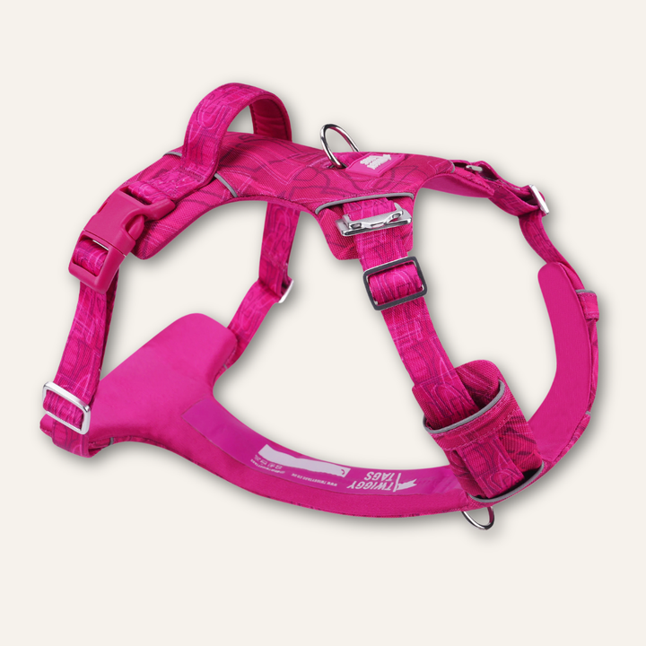Adventure Harness 2.0