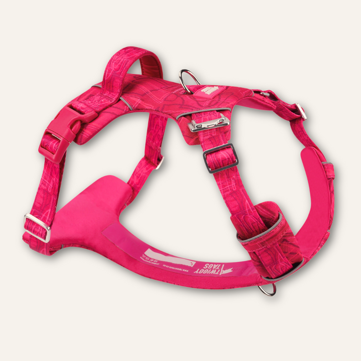 Adventure Harness