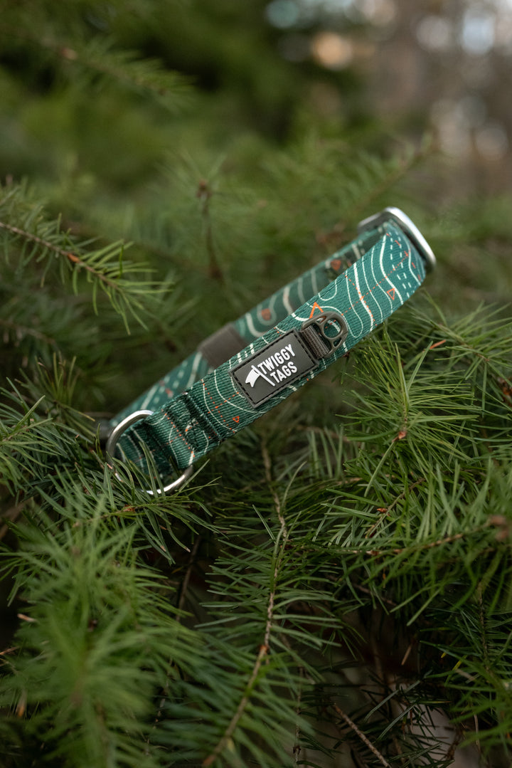 Apex® Collar - Nomad