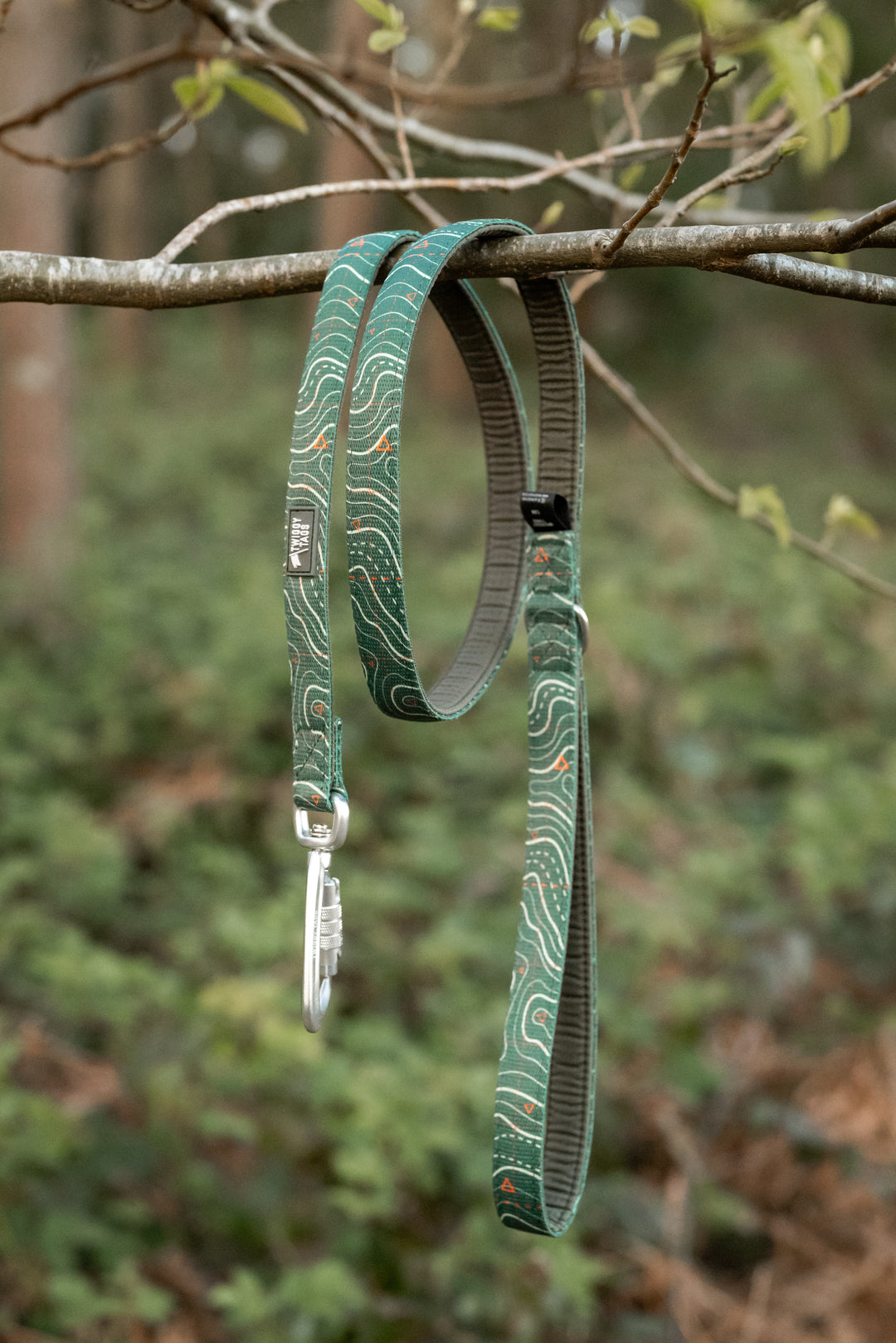 Apex® Lead - Nomad