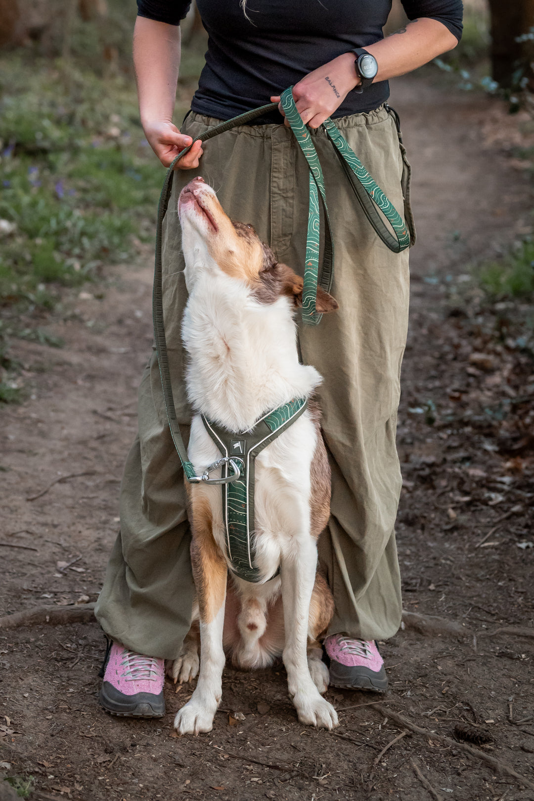 Apex® Harness - Nomad