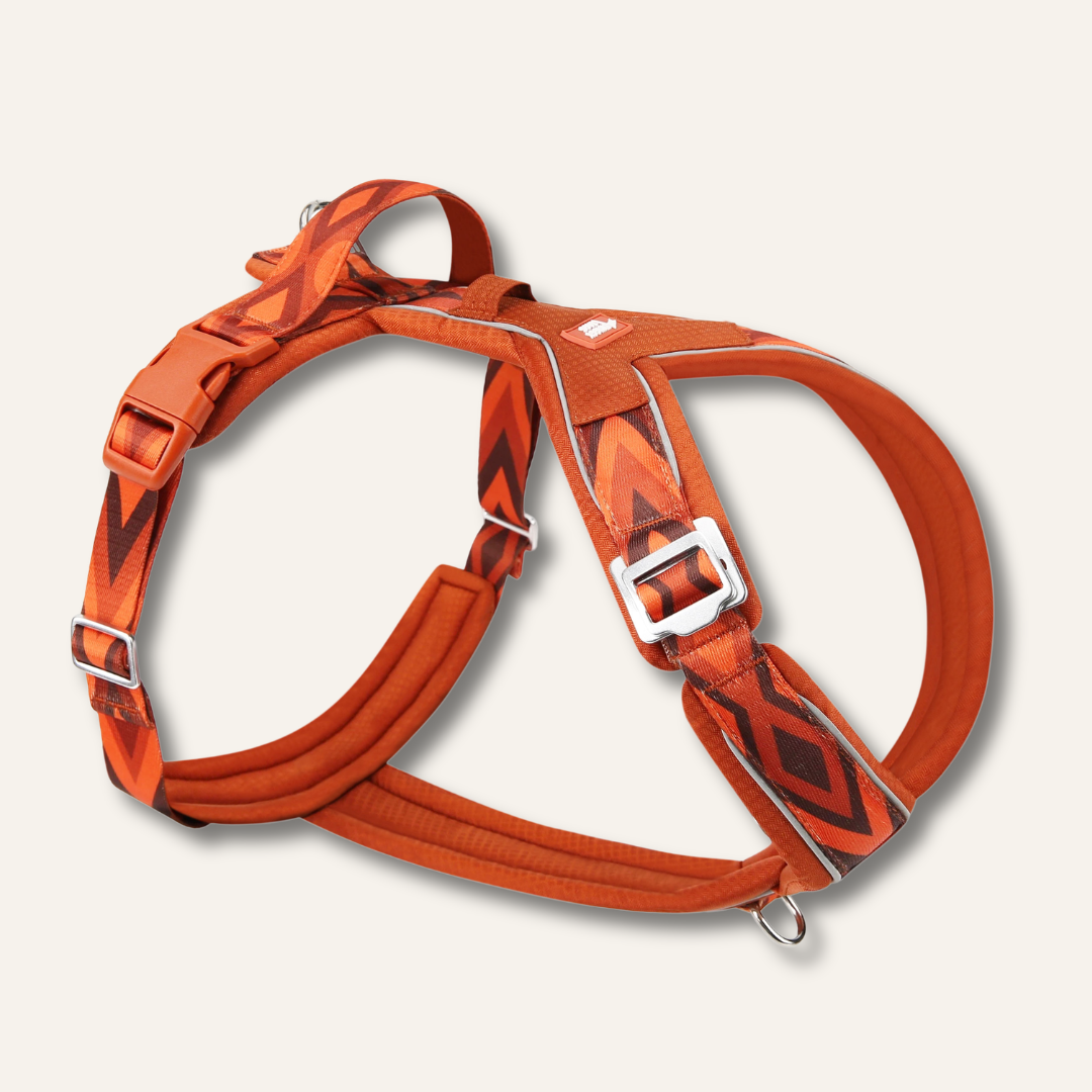 Apex® Harness