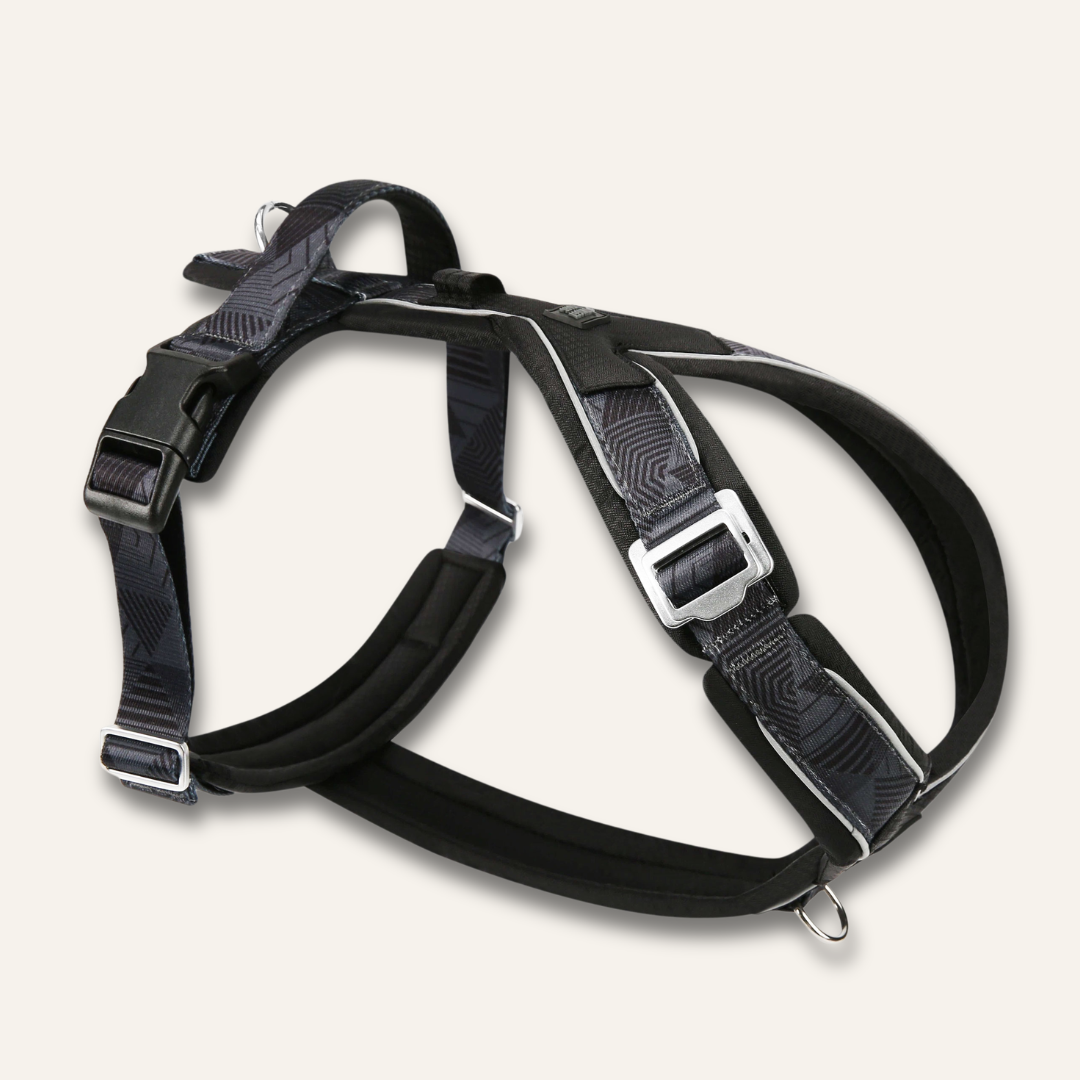 Apex® Harness