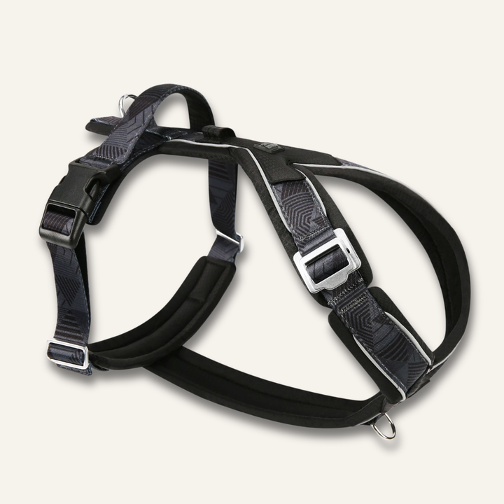 Apex® Harness