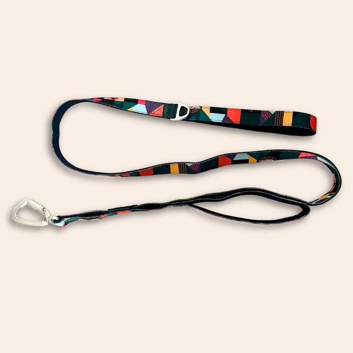 Adventure Close Control Lead (Limited Edition)