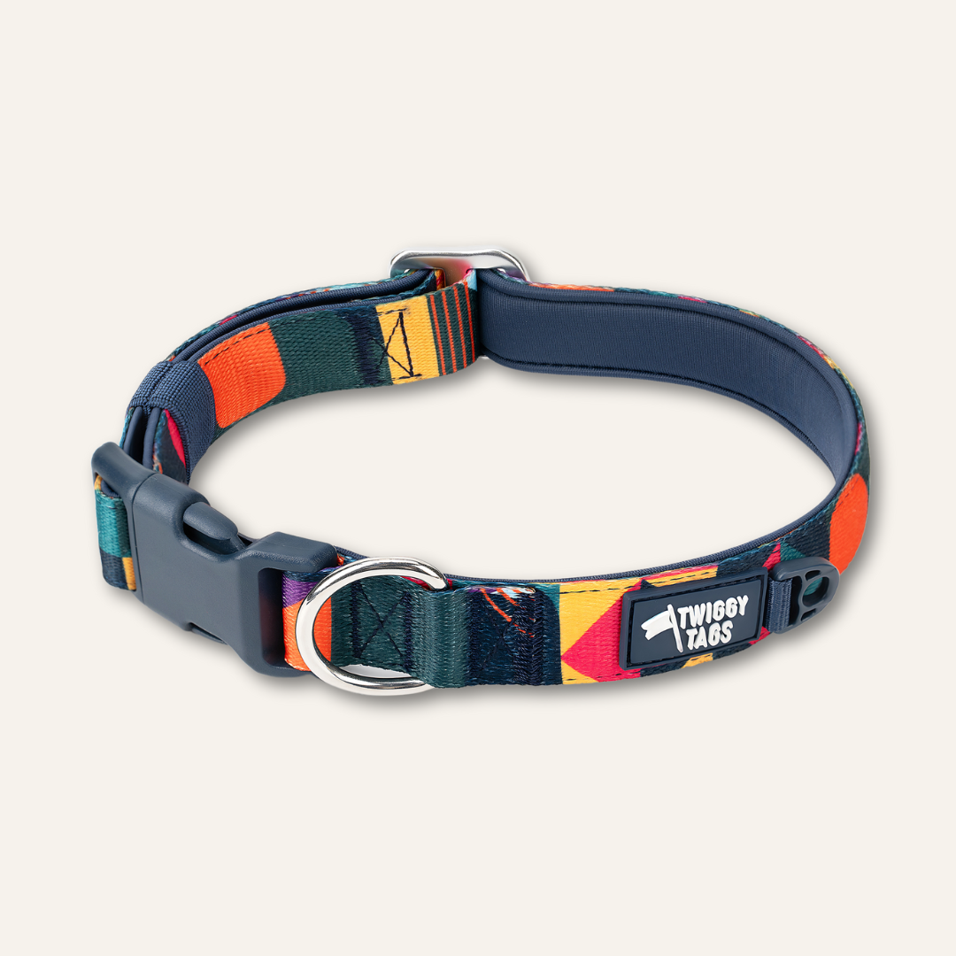 A multicolored geometric patterned dog collar with a plastic buckle and metal ring, designed for outdoor use.