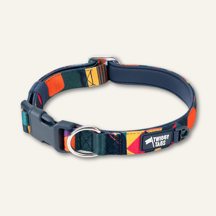 A multicolored geometric patterned dog collar with a plastic buckle and metal ring, designed for outdoor use.
