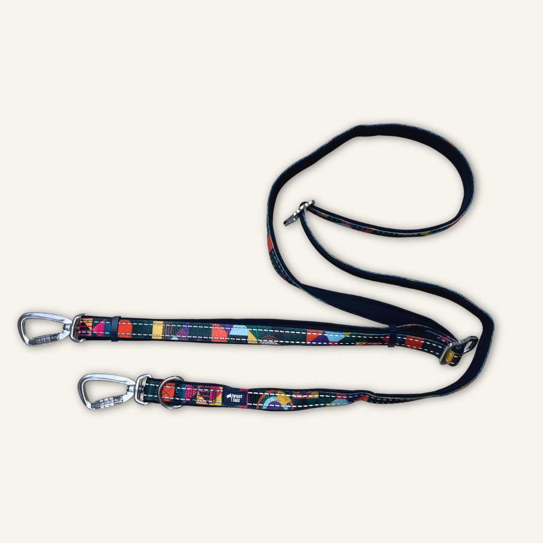 Multi-Way Lead