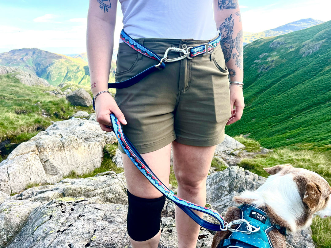 Multi-Way Lead