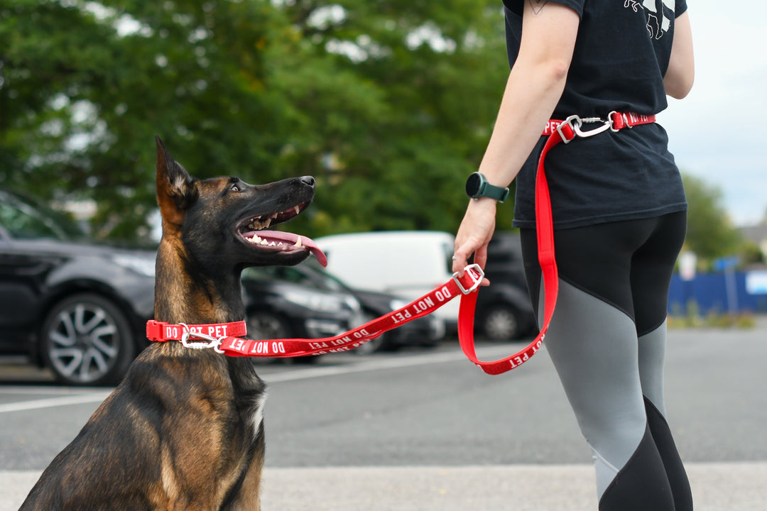 Awareness Multi-Way Lead