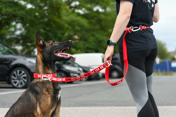 Awareness Multi-Way Lead