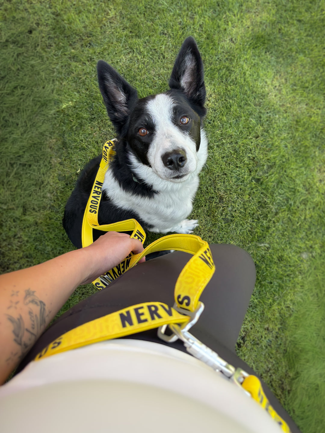 Awareness Multi-Way Lead