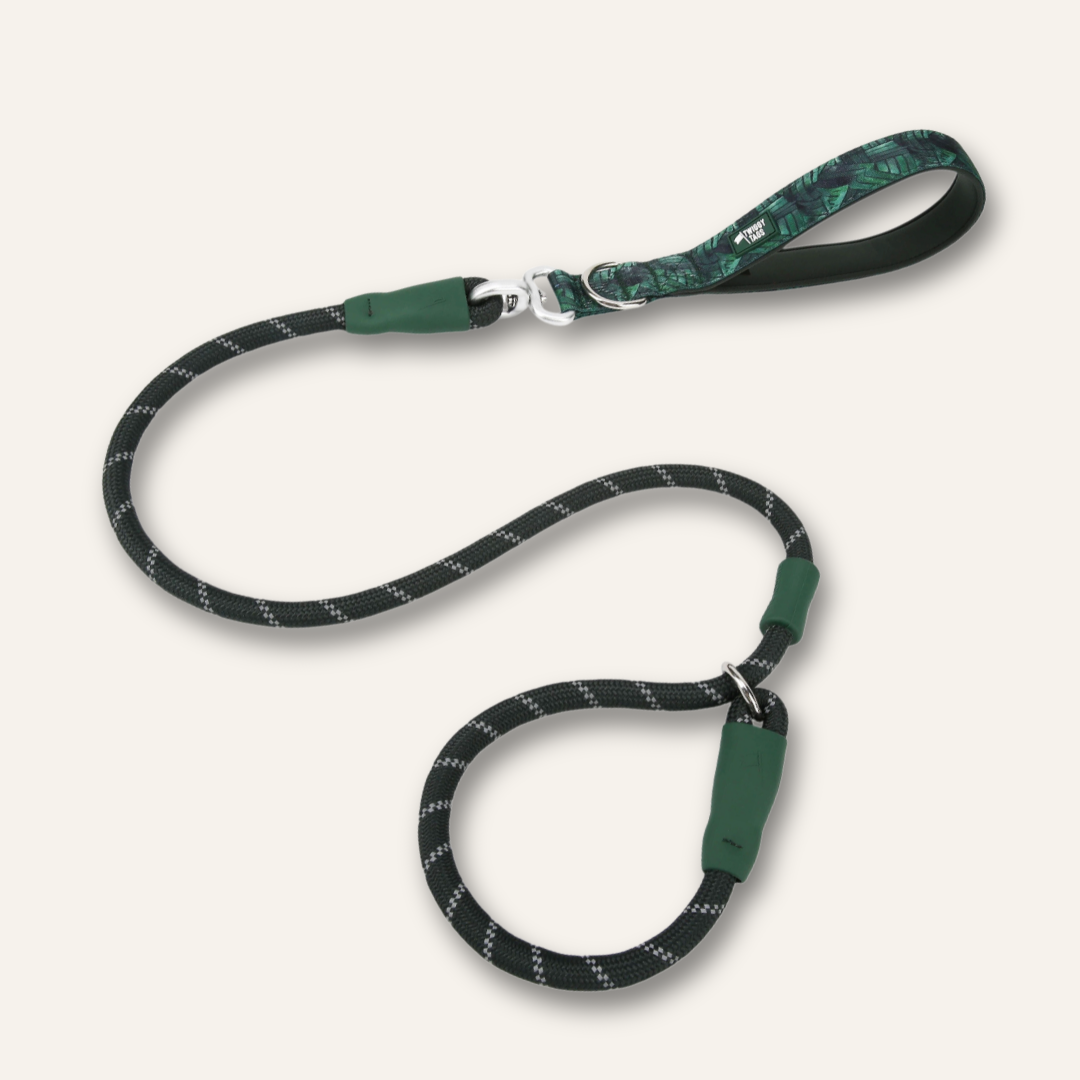 Slip Lead