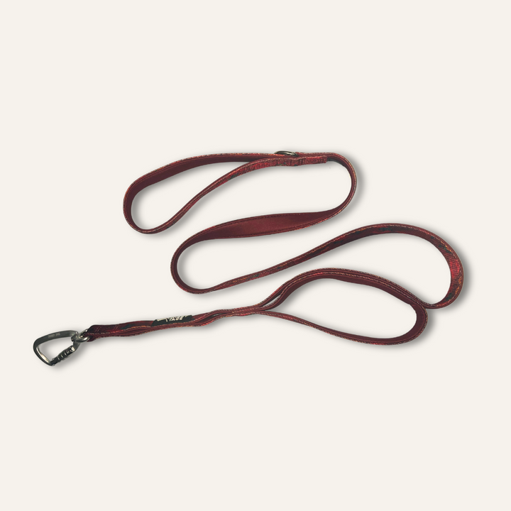 Adventure Close Control Lead - Alpenglow