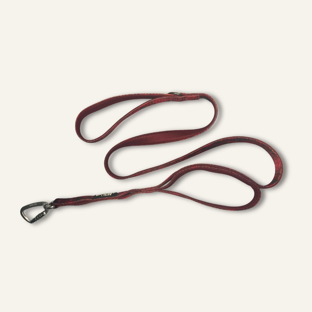 Adventure Close Control Lead (Limited Edition)