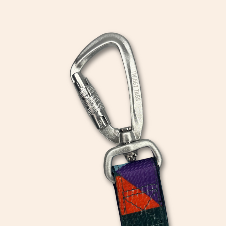 Adventure Close Control Lead (Limited Edition)