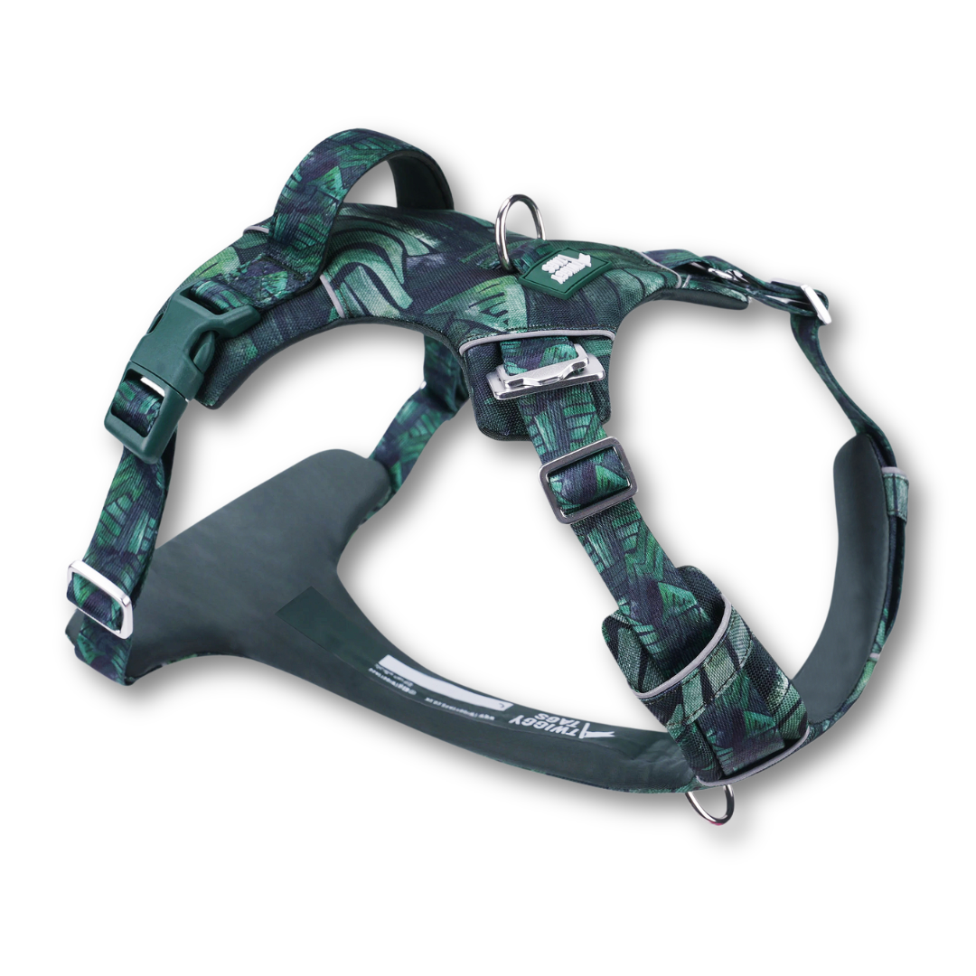 Adventure Harness 2.0