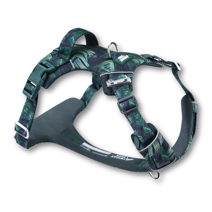 Adventure Harness 2.0