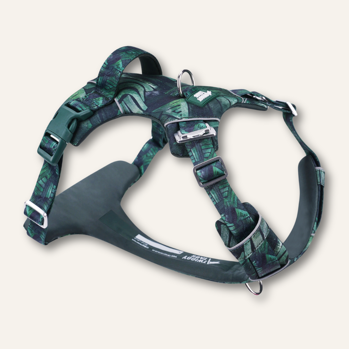 Adventure Harness 2.0