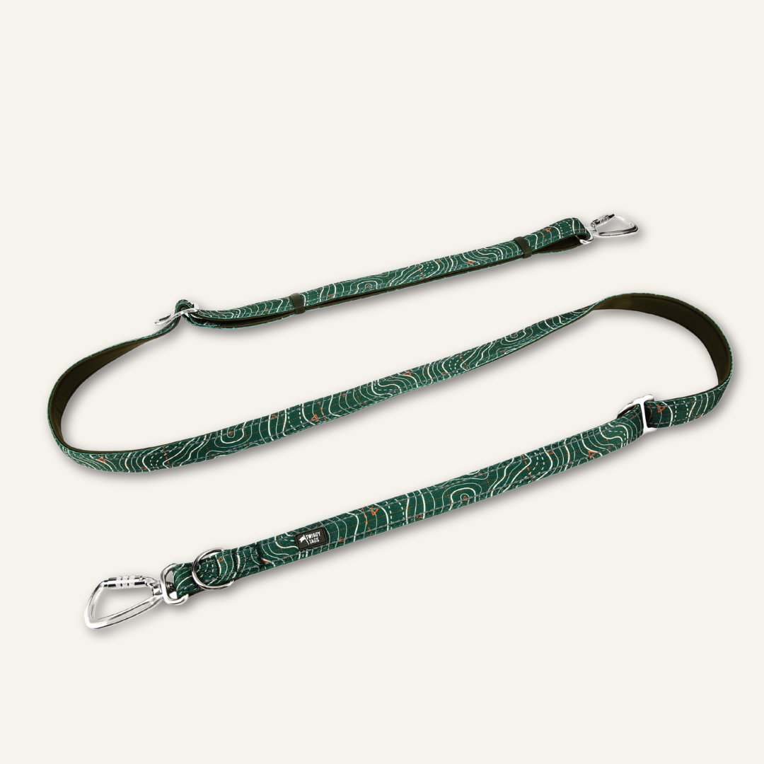 Multi-Way Lead