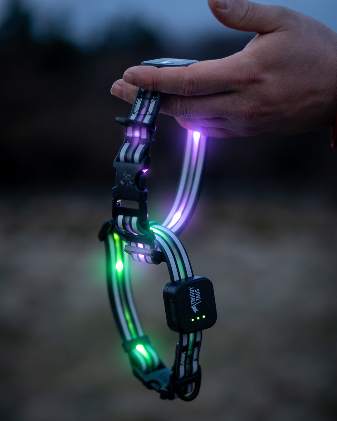 TrekBright™ Light-Up Collar