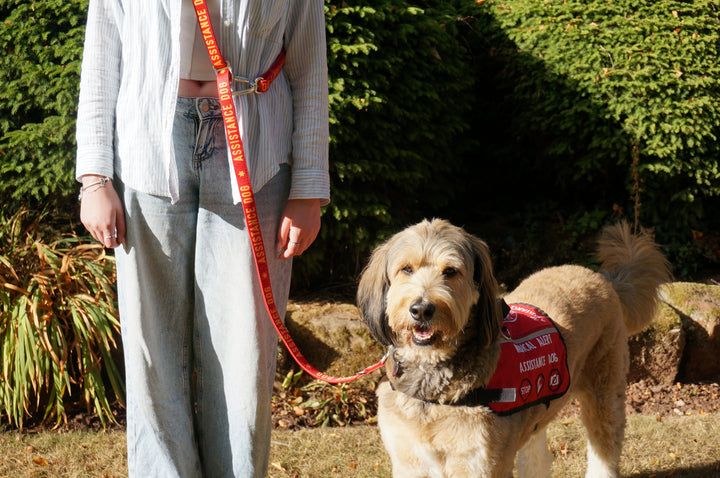 Awareness Multi-Way Lead