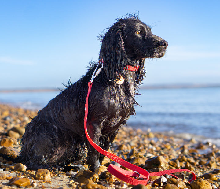 Tidal Waterproof Lead