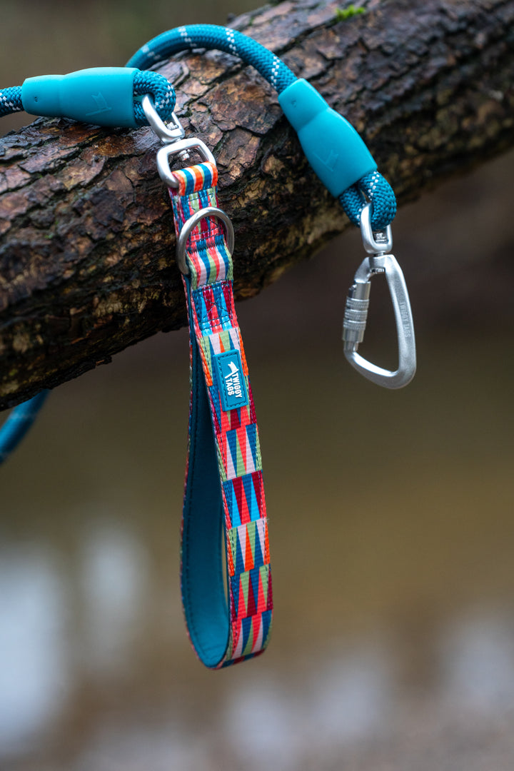 Horizon Rope Lead - Elixir