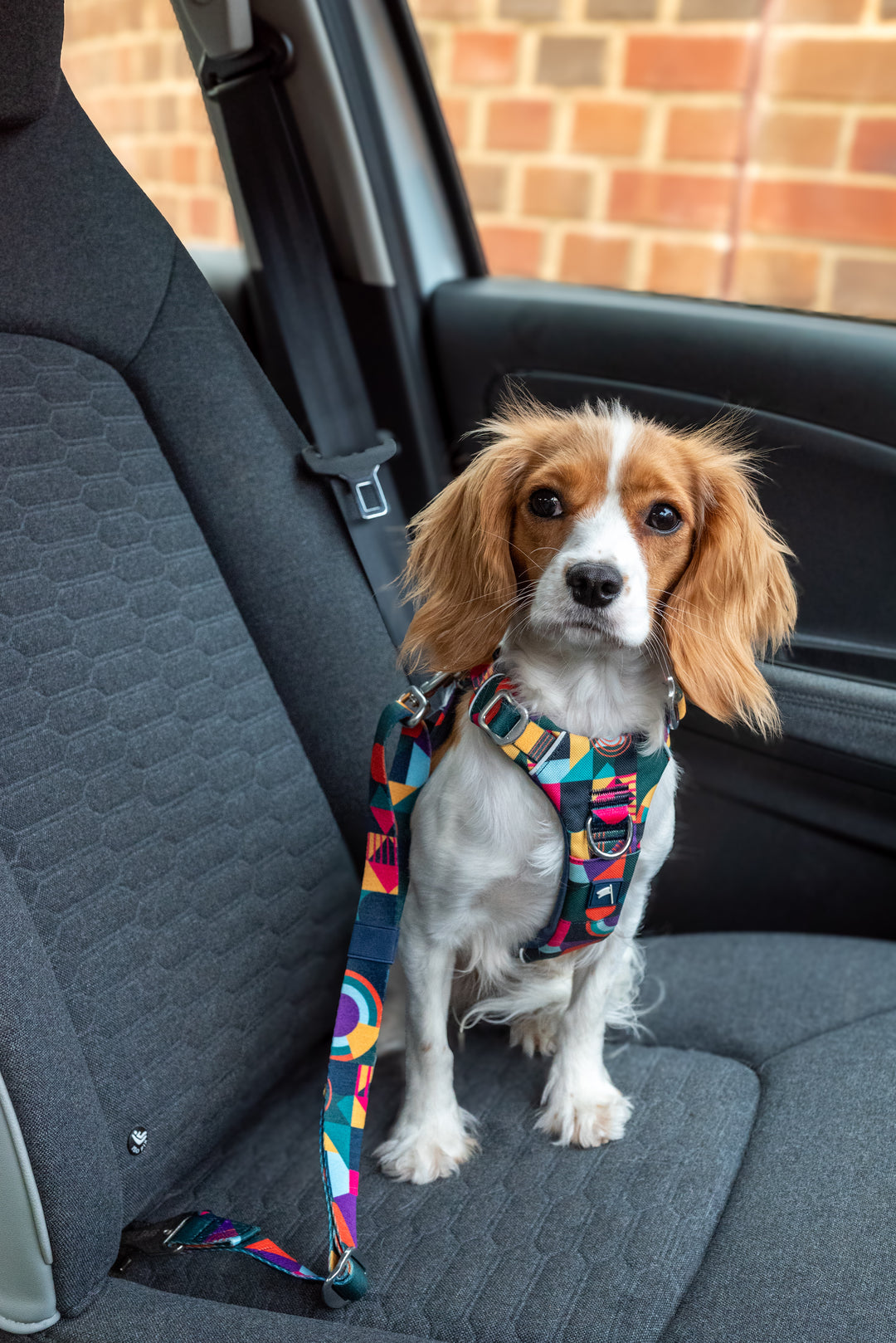 ISOFIX Seat Belt