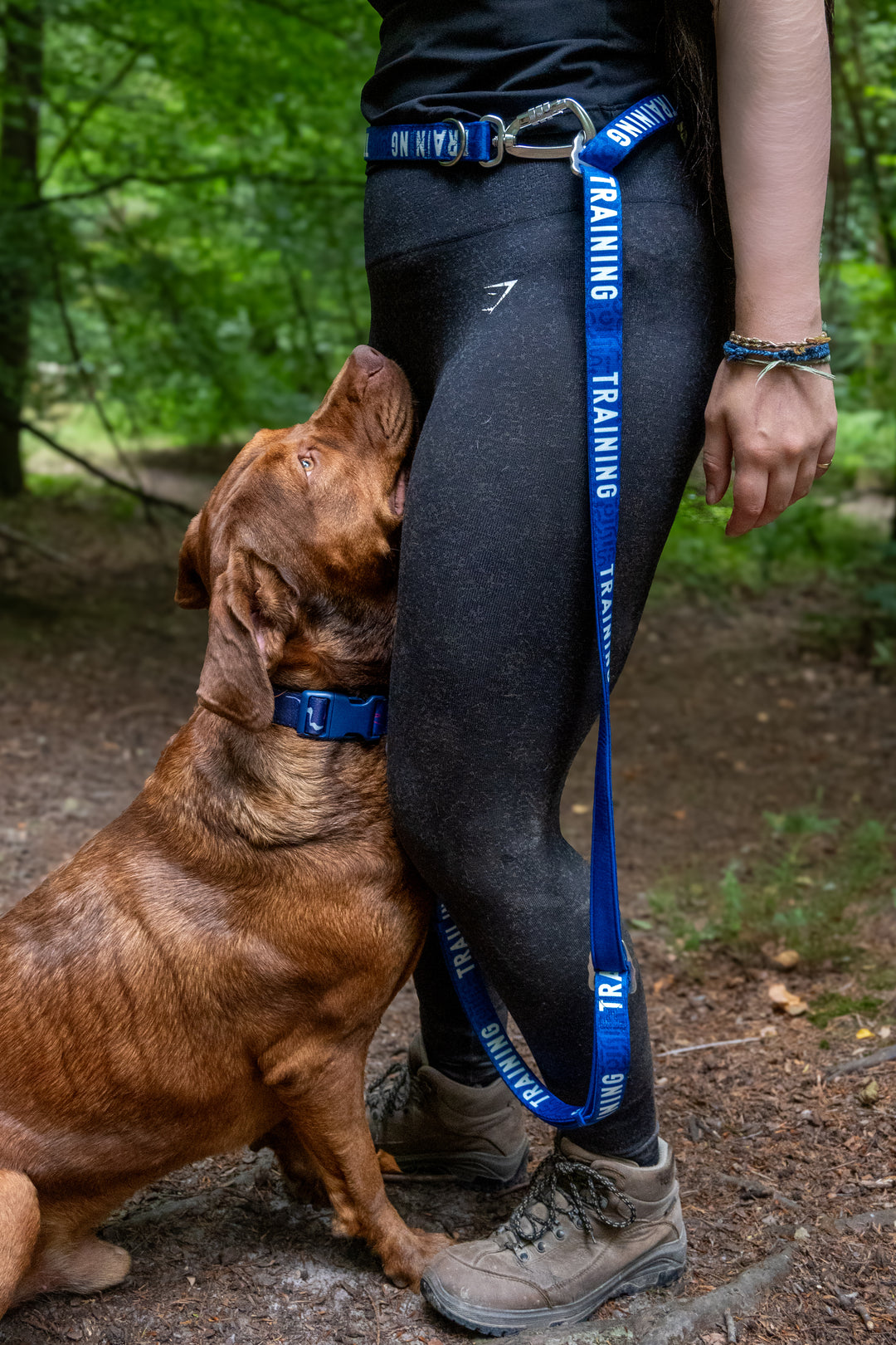 Awareness Multi-Way Lead