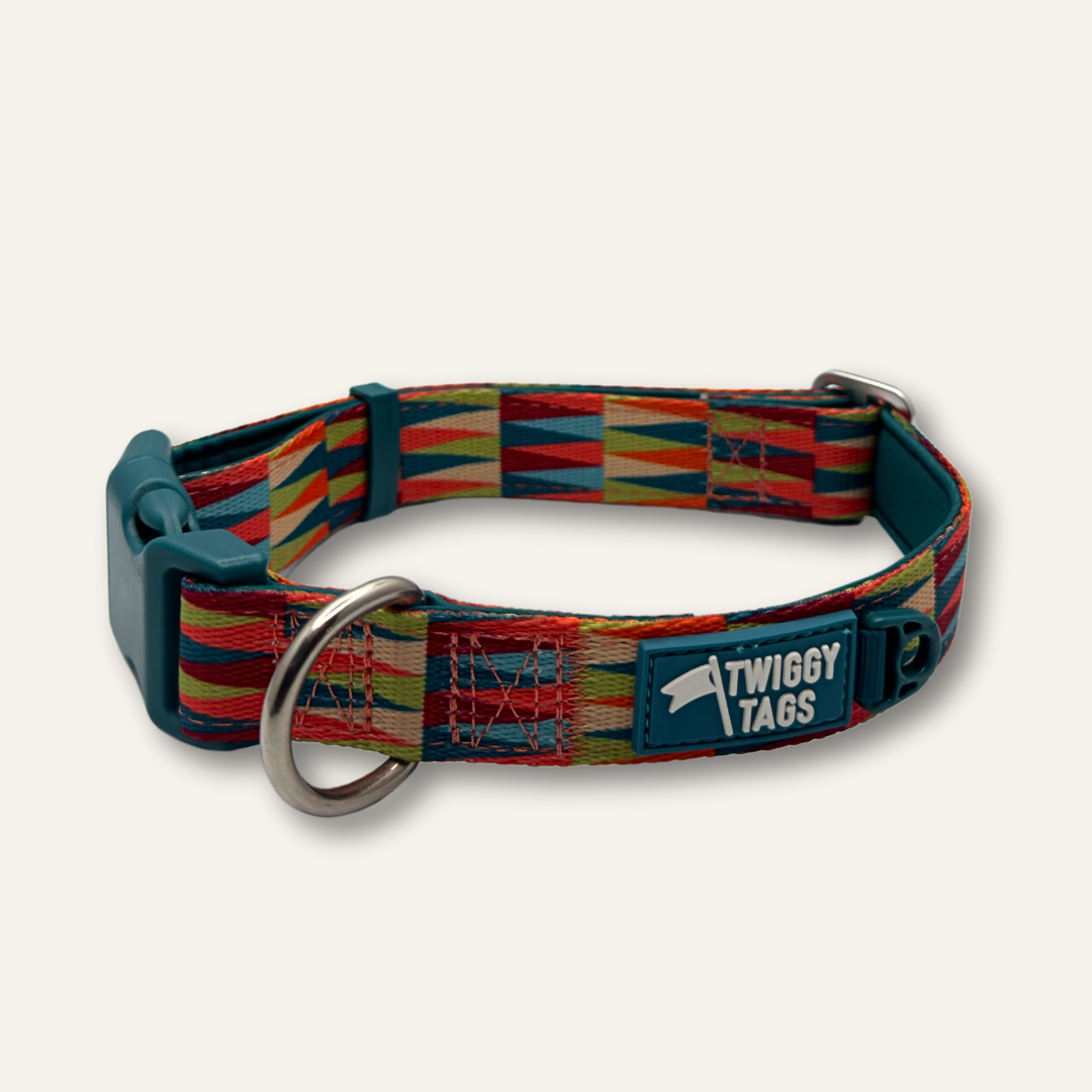 A multicolored striped dog collar with a label that reads 'TWIGGY TAGS' and a metal ring for ID tags.