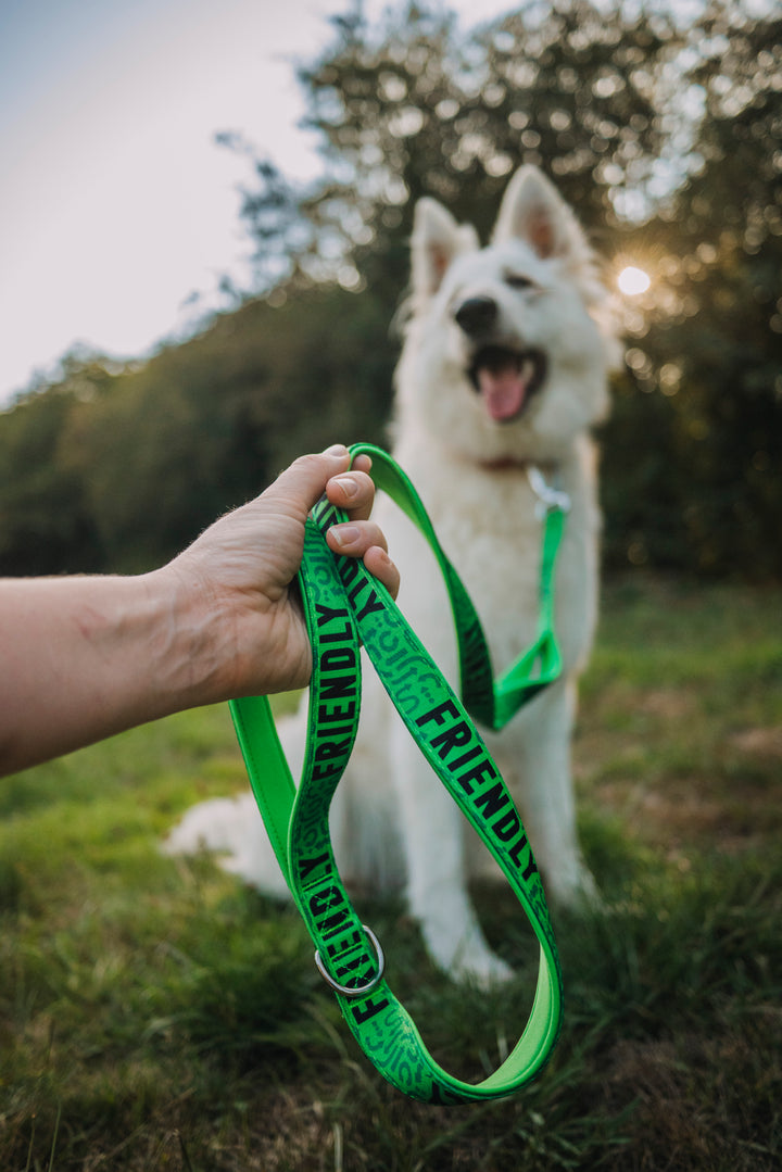 Awareness Close Control Lead