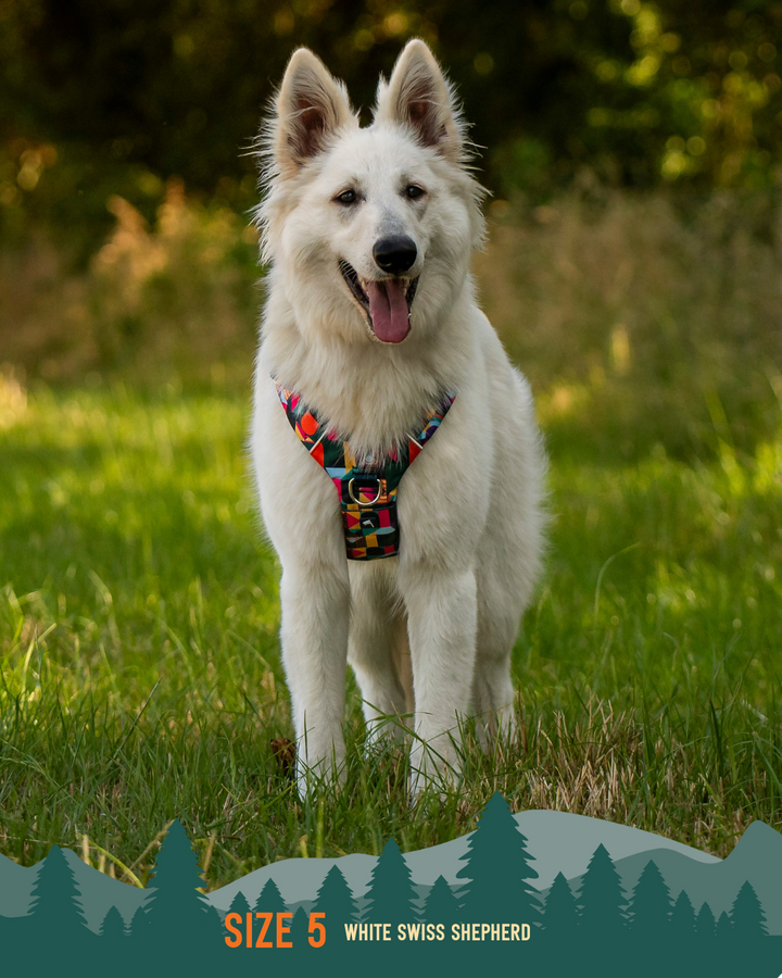 Adventure Harness 2.0 - Aurora