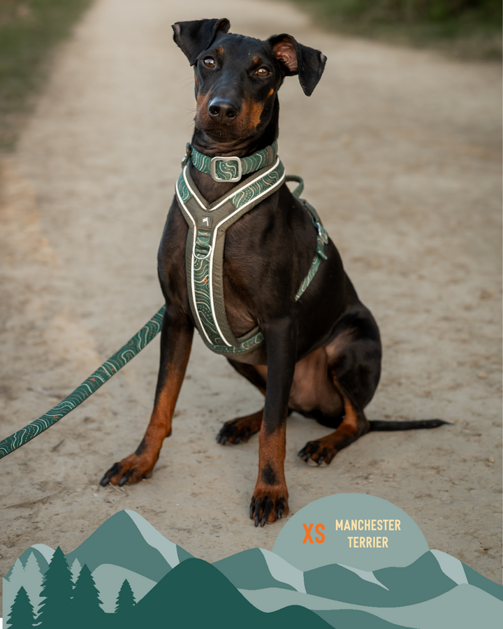Apex® Harness - Nomad