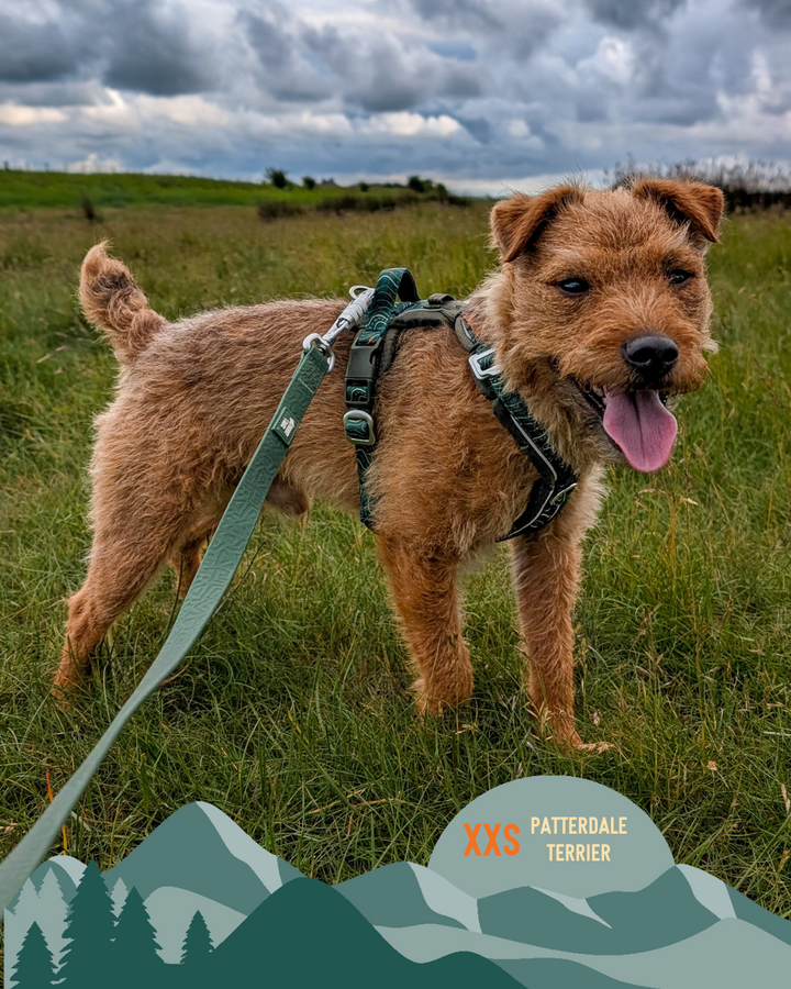 Apex® Harness - Nomad