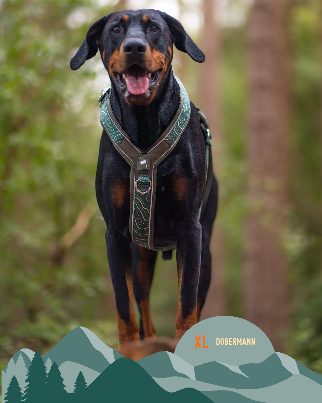 Apex® Harness - Nomad