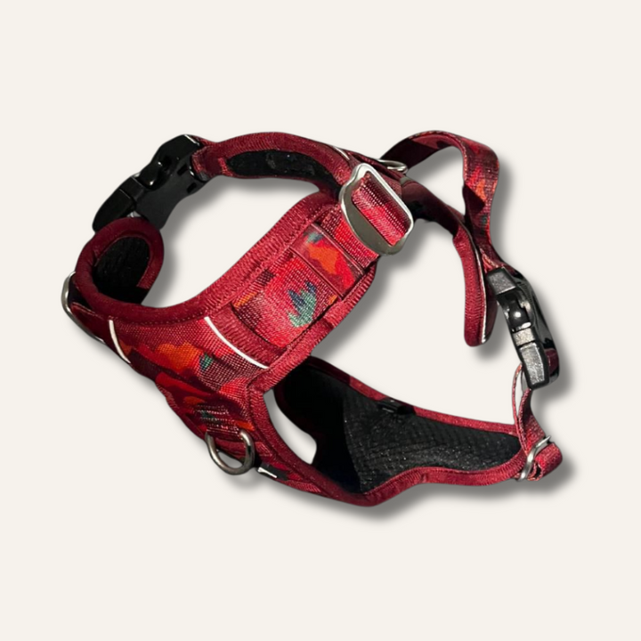 Adventure Harness - Alpenglow