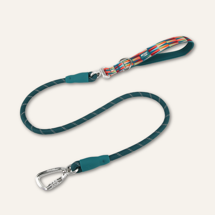 Horizon Rope Lead - Elixir