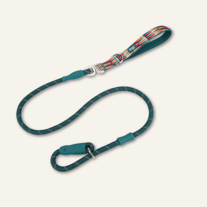 Horizon Slip Lead - Elixir